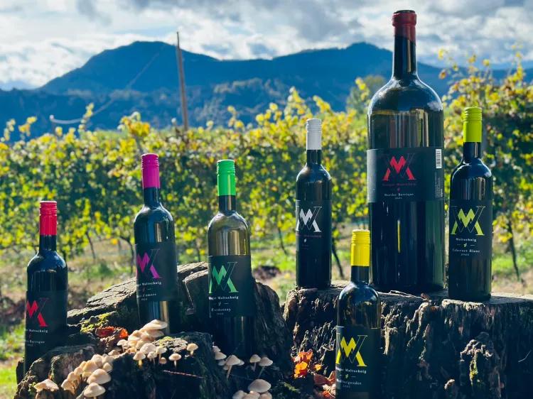 Christkindlmarkt am Weingut Maltschnig