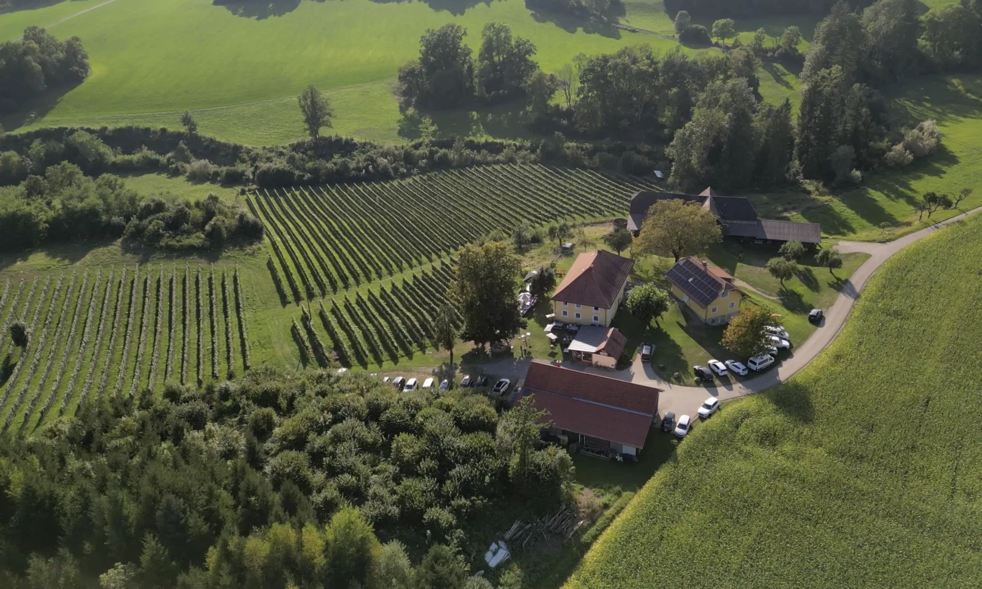 Weingut Maltschnig